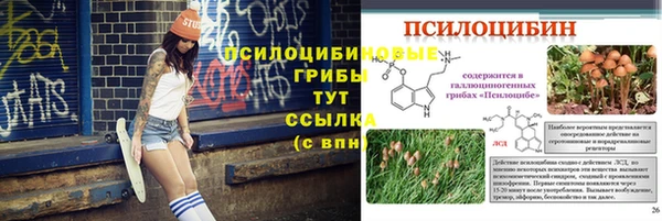 ешки Абдулино