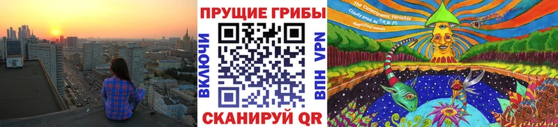 hydra ONION  где купить наркоту  Сафоново  мориарти клад  Псилоцибиновые грибы Psilocybine cubensis 
